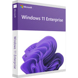 Microsoft Windows 11 Enterprise