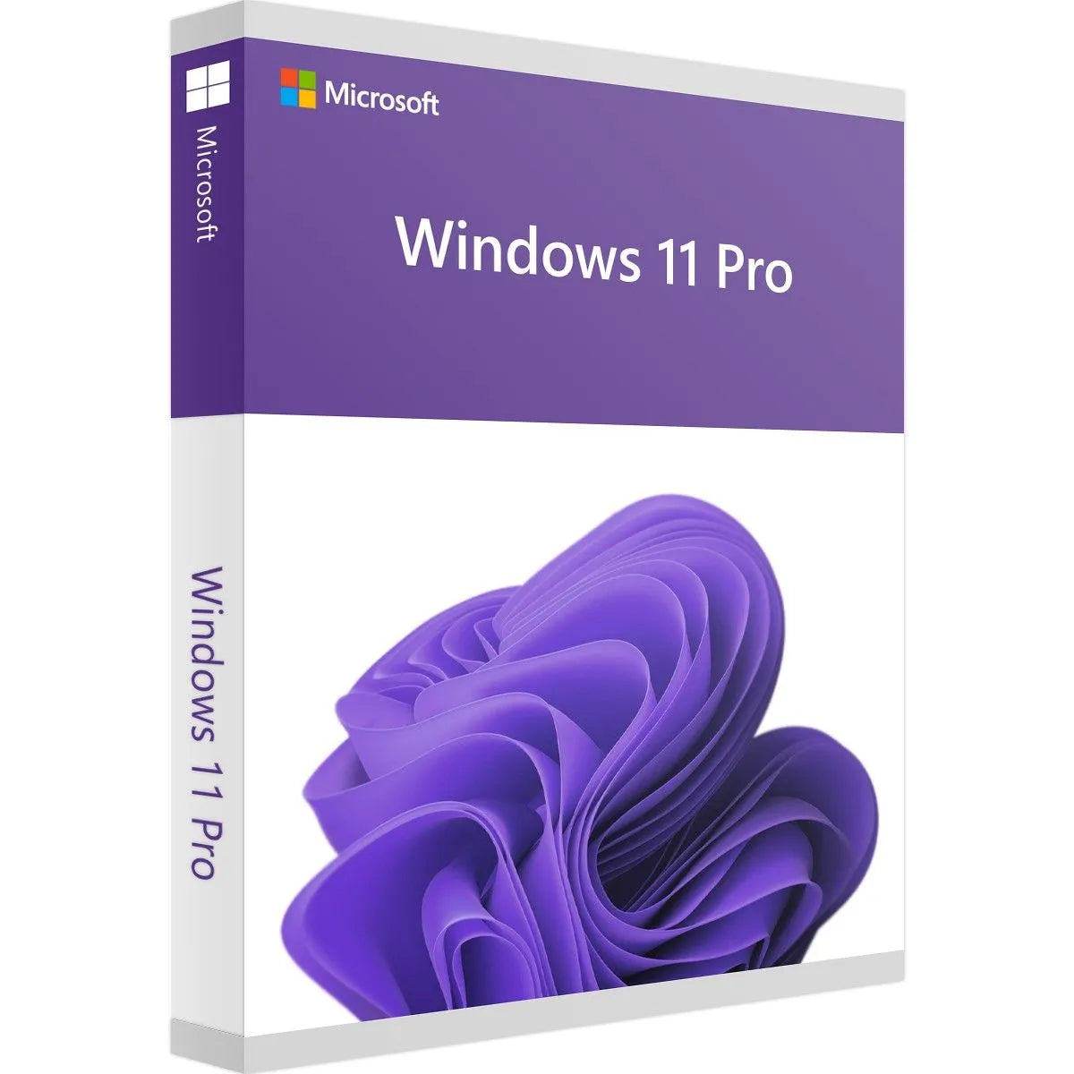 Microsoft Windows 11 Professional